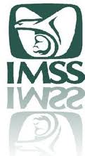 imss3 dictamen imss